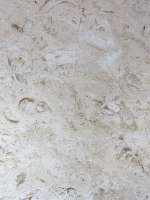 ../photos/Italian natural marbles/pearl biege.JPG